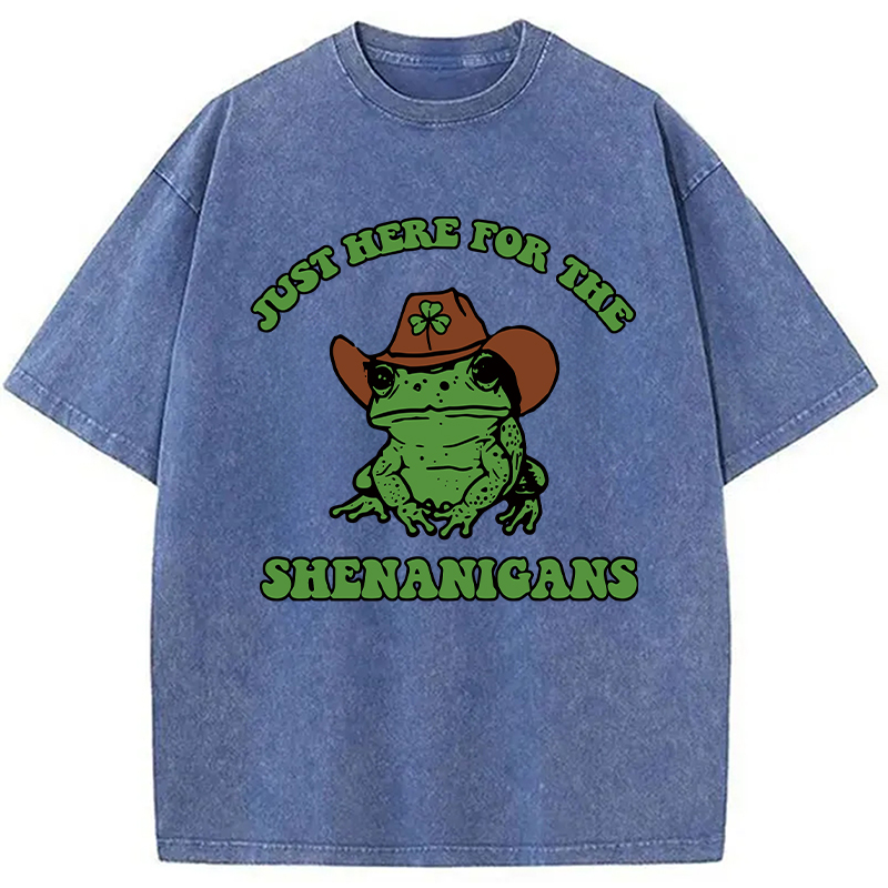Modecanvas Here for the Shenanigans Washed T-Shirt
