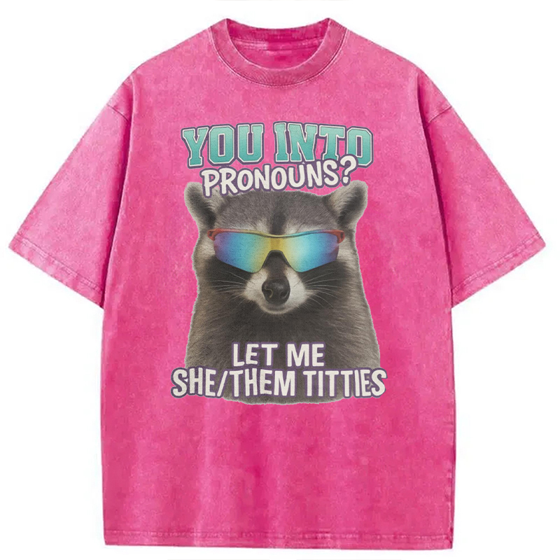 Modecanvas You Into Pronouns? Let Me She/Them Titt*es Raccoon DTG Printing Washed T-Shirt