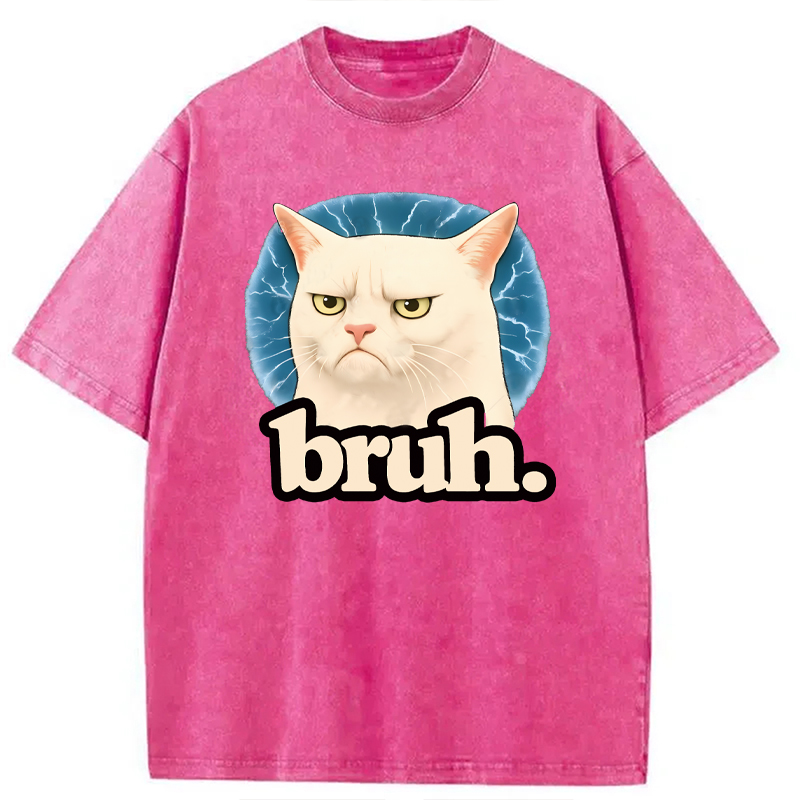 Modecanvas Bruh Cat Meme DTG Printing Washed T-Shirt