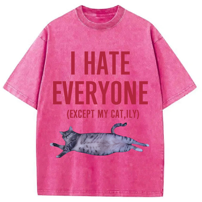 Modecanvas I Hate Everyone Cat Washed T-Shirt