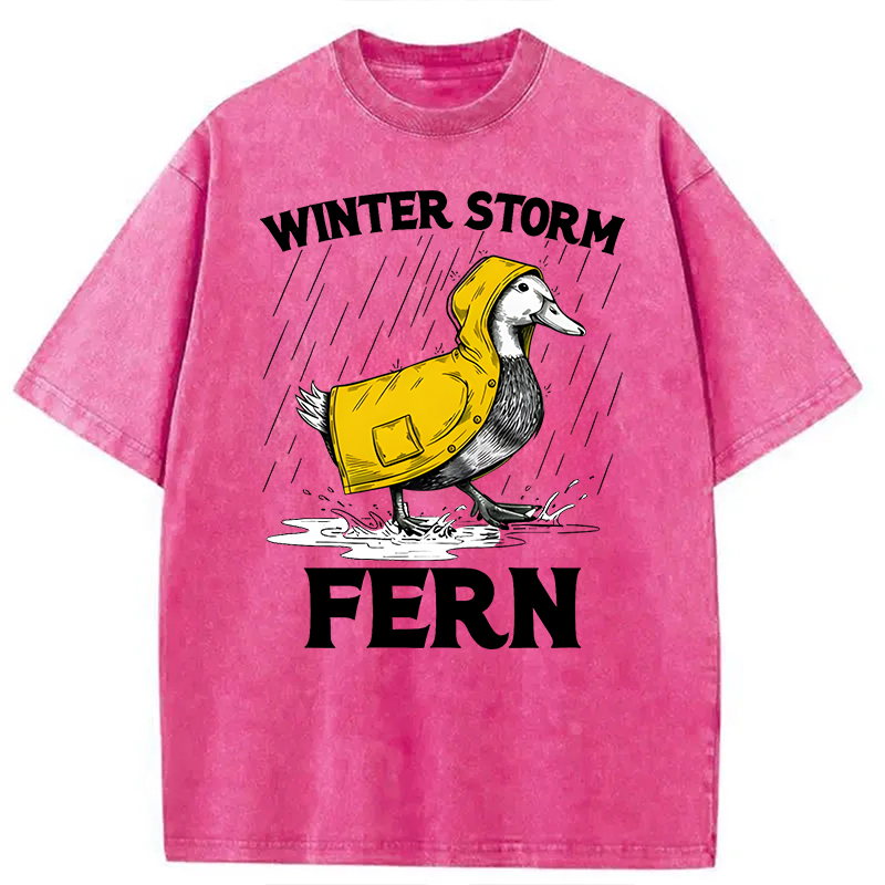 Modecanvas Winter Storm Fern 2026 DTG Printing Washed T-Shirt