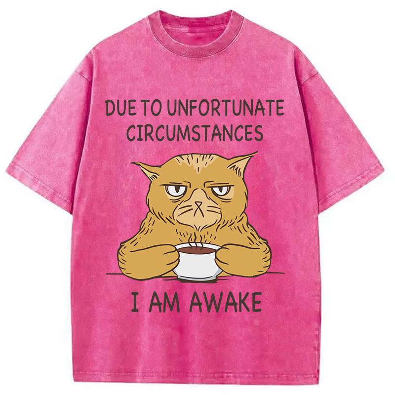 Modecanvas I Am Awake Cat Meme DTG Printing Washed T-Shirt