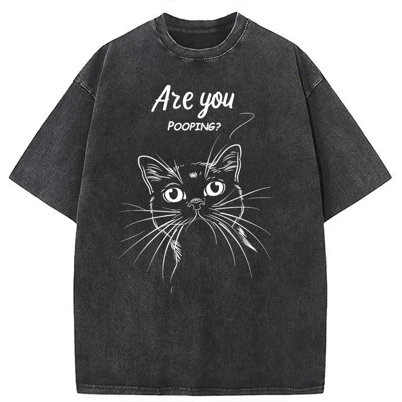 Modecanvas Black Cat Are You Pooping DTG Printing Washed T-Shirt