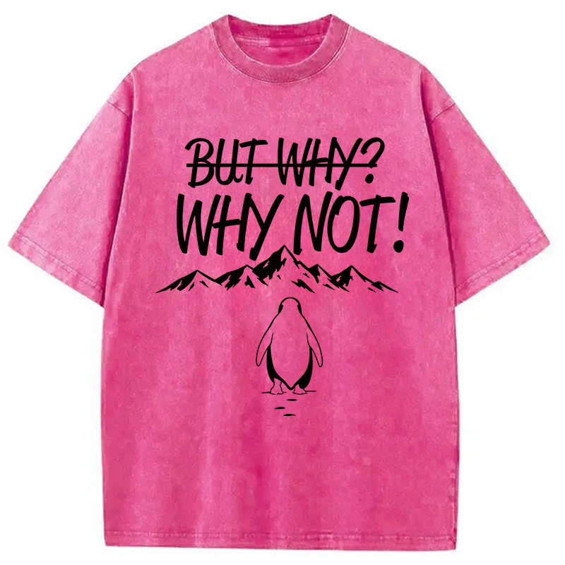 Modecanvas But Why/Why Not Penguin Meme DTG Printing Washed T-Shirt