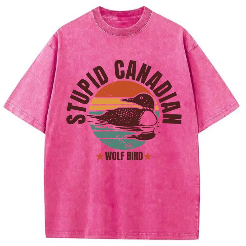 Modecanvas Heated-rivalry DTG Printing Washed T-Shirt