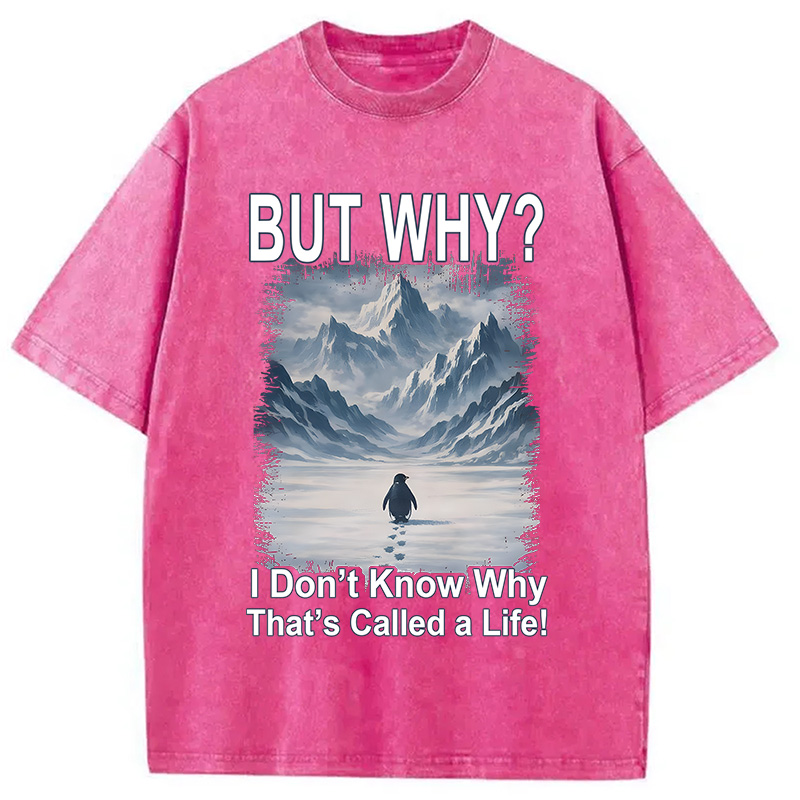 Modecanvas But Why Mountain Nihilist Penguin DTG Printing Washed T-Shirt-modecanvas