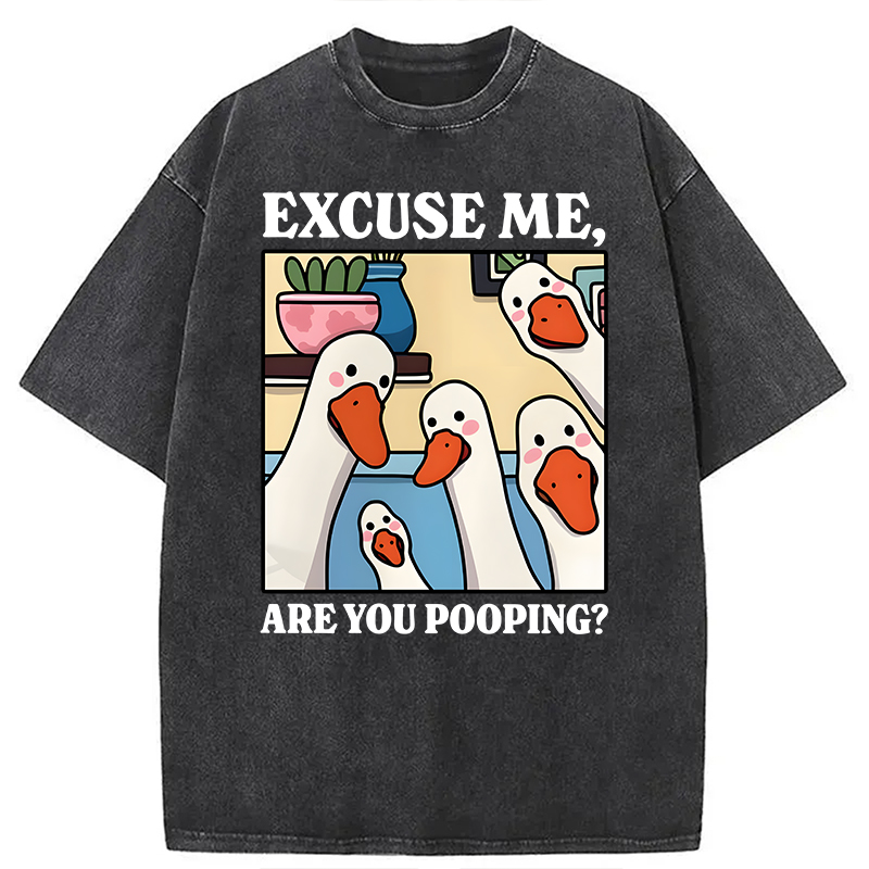 Modecanvas Are You Pooping Goose Meme DTG Printing Washed T-Shirt-modecanvas