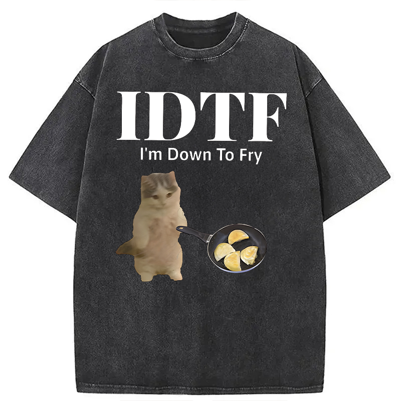 Modecanvas IDTF Pierogi DTG Printing Washed T-Shirt-modecanvas