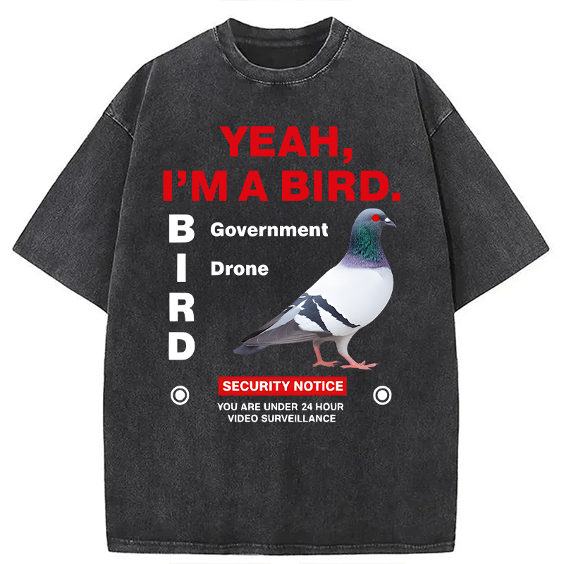 Modecanvas Government Funny Pigeon Puns DTG Printing Washed T-Shirt-modecanvas