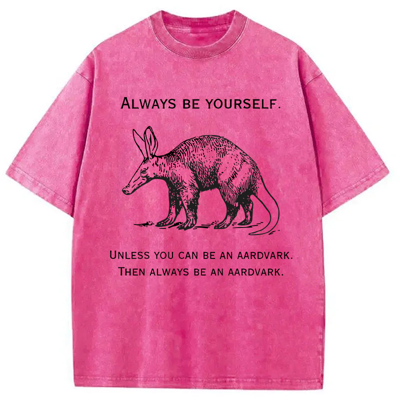 Modecanvas Always Be Yourself Meme DTG Printing Washed T-Shirt-modecanvas