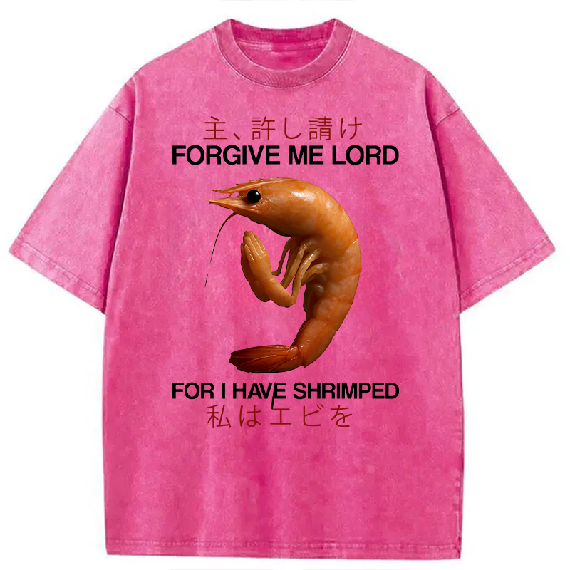 Modecanvas Forgive Me Lord For I Have Shrimped DTG Printing Washed T-Shirt-modecanvas