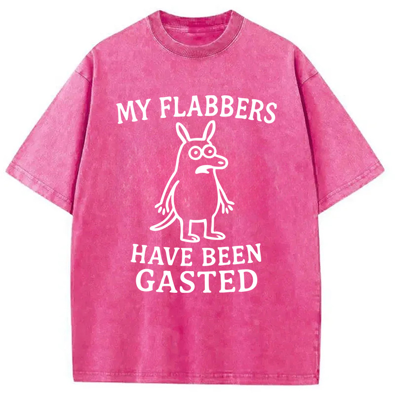 Modecanvas My Flabbers Have Been Gasted Funny Meme DTG Printing Washed T-Shirt-modecanvas