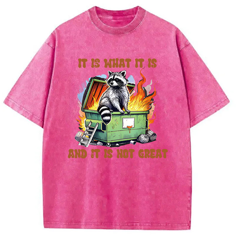 Modecanvas It is What Not Great Raccoon Meme DTG Printing Washed T-Shirt