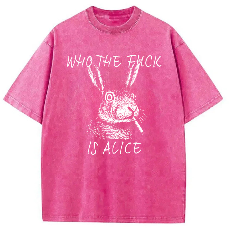 Modecanvas Who The Fck Is Alice Meme DTG Printing Washed T-Shirt