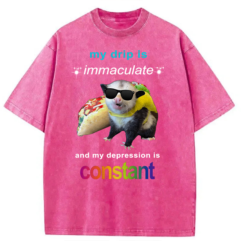 Modecanvas My Drip Is Immaculate DTG Printing Washed T-Shirt