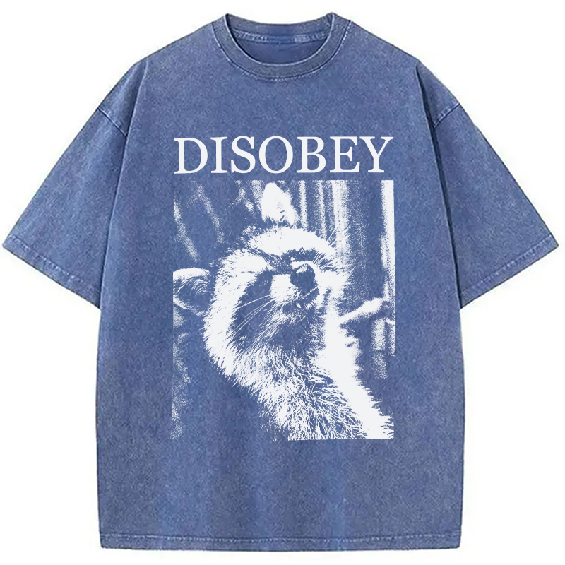 Modecanvas Disobey Raccoon DTG Printing Washed T-Shirt