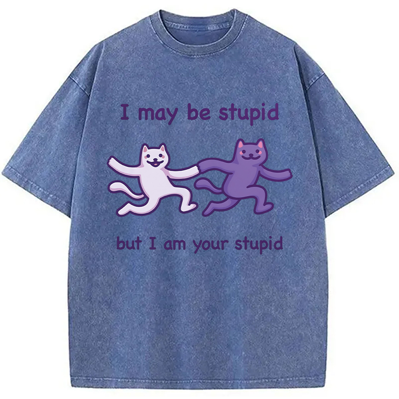 Modecanvas I Am Your Stupid DTG Printing Washed T-Shirt