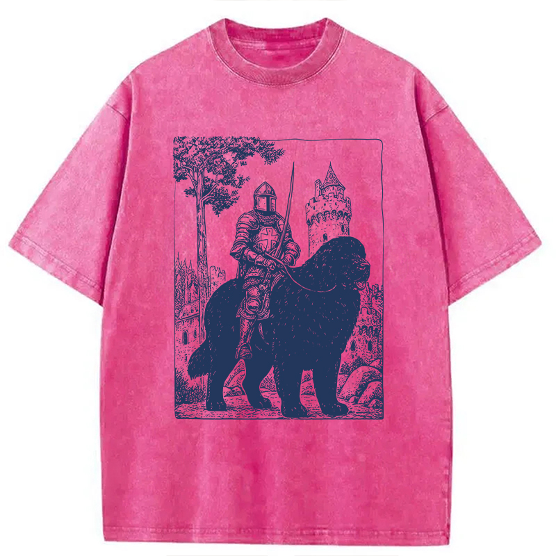 Modecanvas Knight Newfoundland Rider Vintage DTG Printing Washed T-Shirt