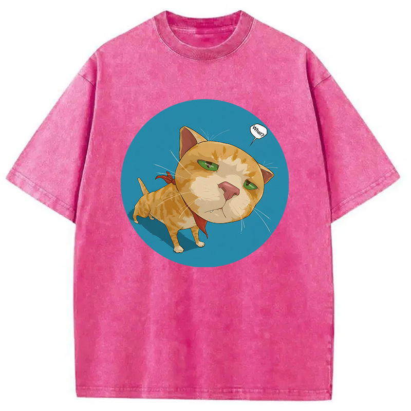 Modecanvas Confusing Cat DTG Printing Washed T-Shirt