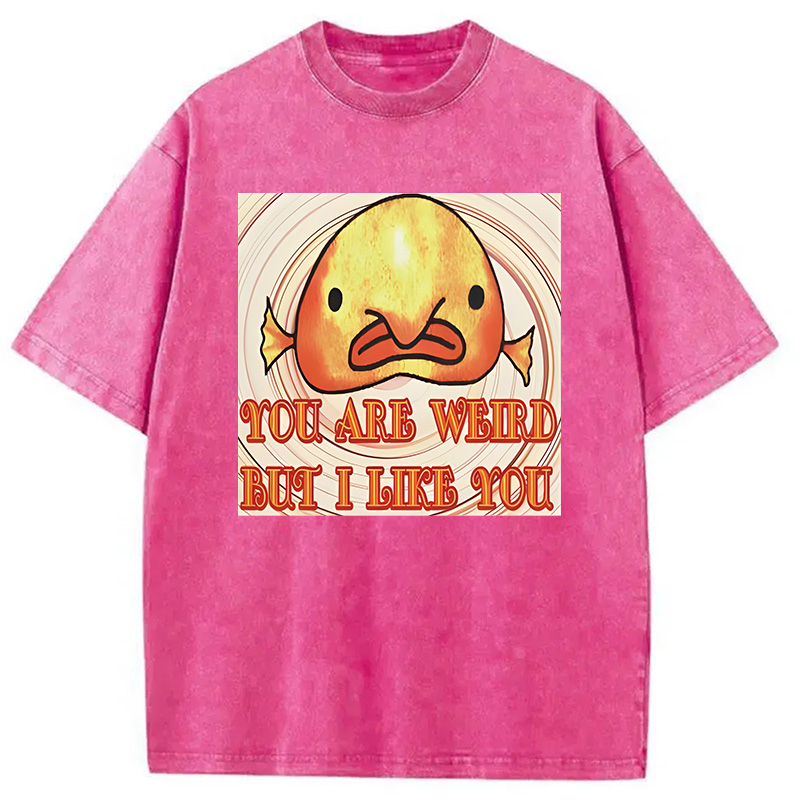 Modecanvas Odly Adorable Fish Meme DTG Printing Washed T-Shirt