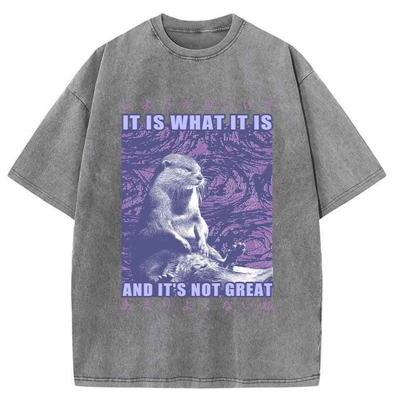 Modecanvas Frustrated Otter Japanese Washed T-Shirt