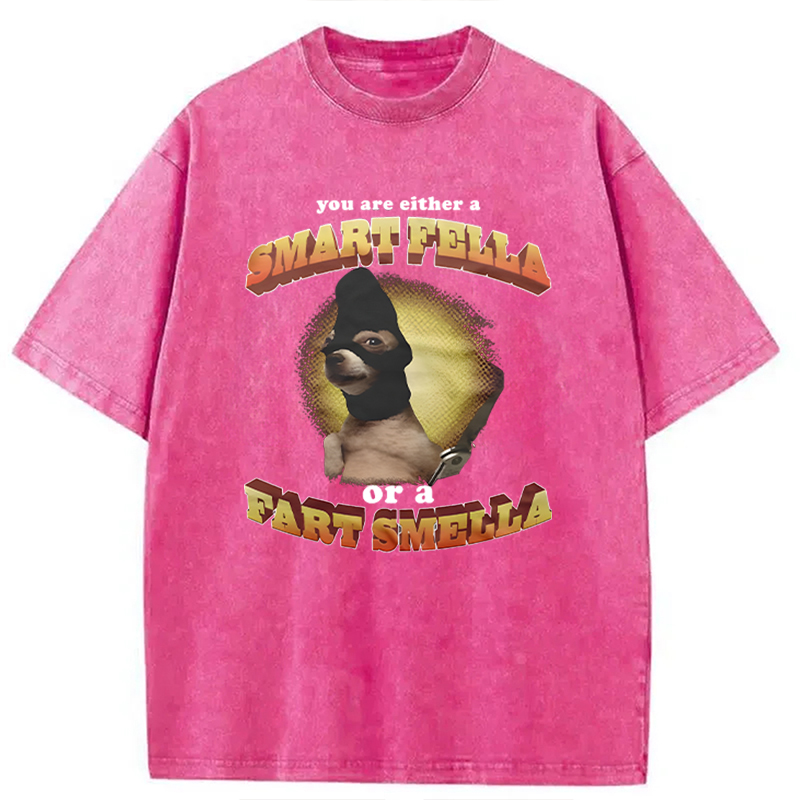 Modecanvas You Are Either A Smart Fella Or A Fart Smella Funny Meme DTG Printing Washed T-Shirt