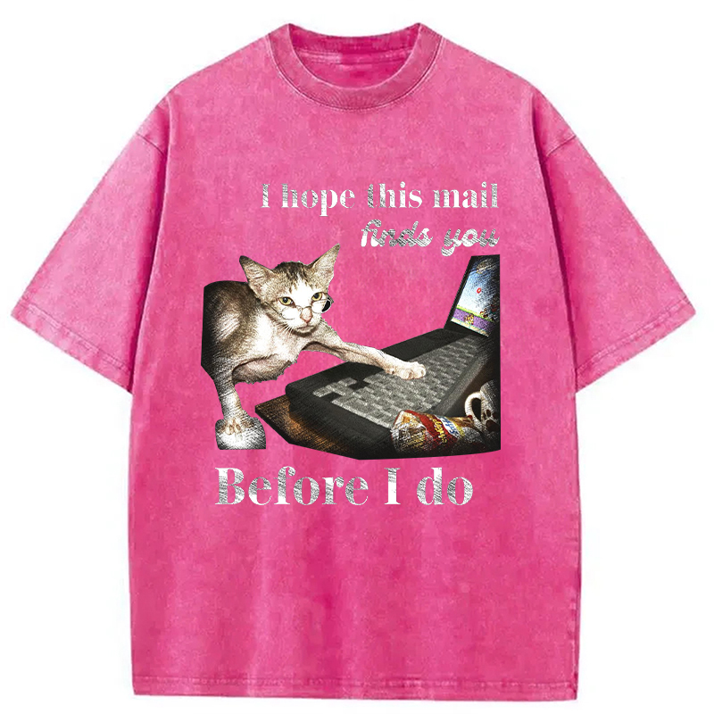 Modecanvas Funny Send Mail Cat Meme DTG Printing Washed T-Shirt