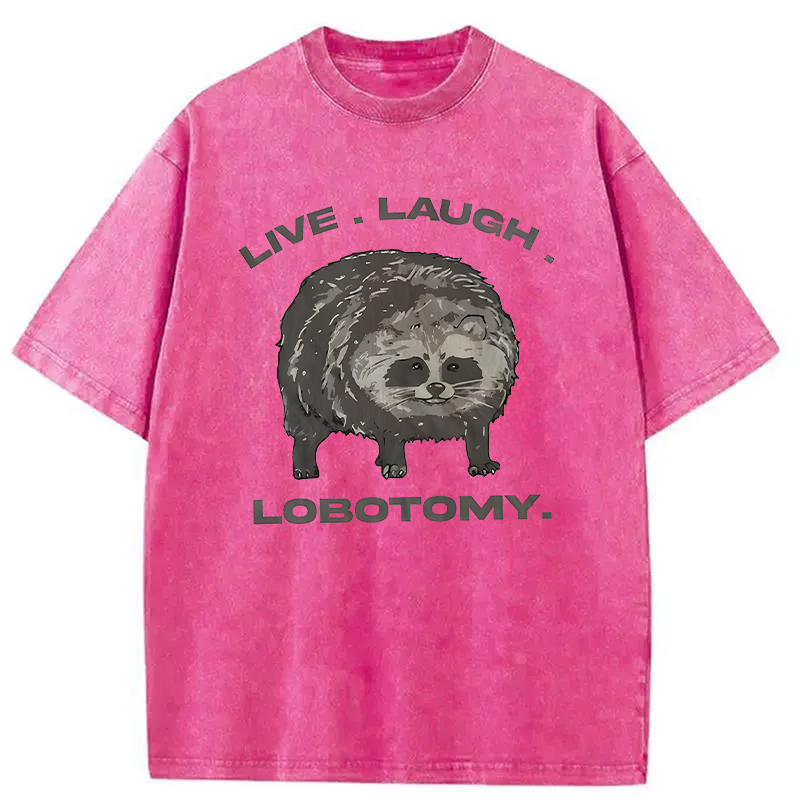 Modecanvas Live Laugh Lobotomy Funny Dolphin Meme DTG Printing Washed T-Shirt
