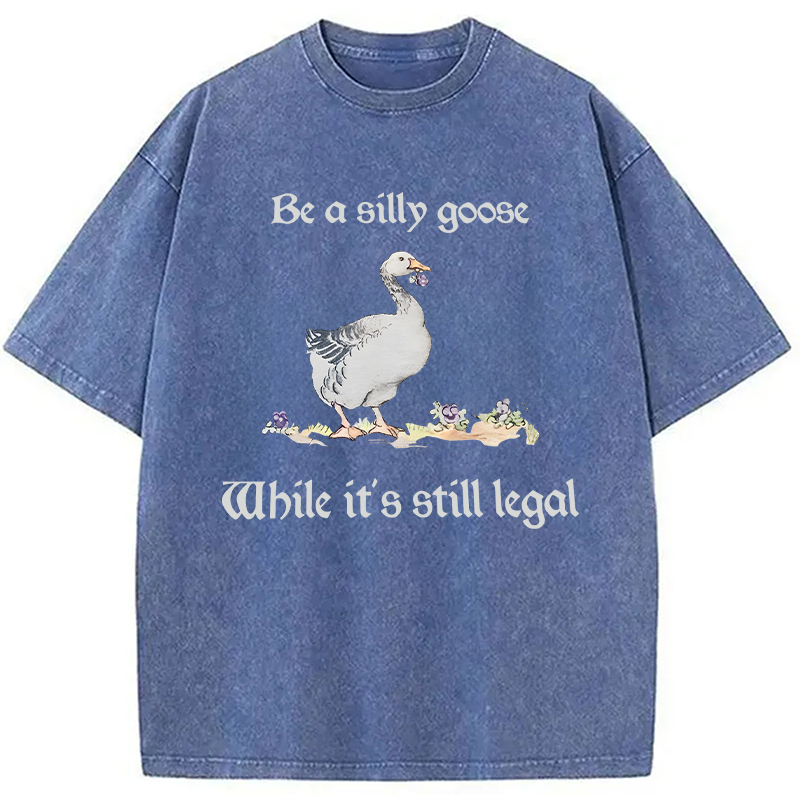 Modecanvas Be A Silly Goose DTG Printing Washed T-Shirt