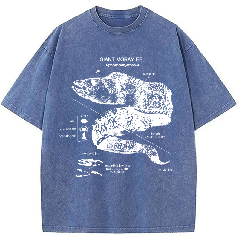 Modecanvas Moray Eel Anatomy Vintage DTG Printing Washed T-Shirt