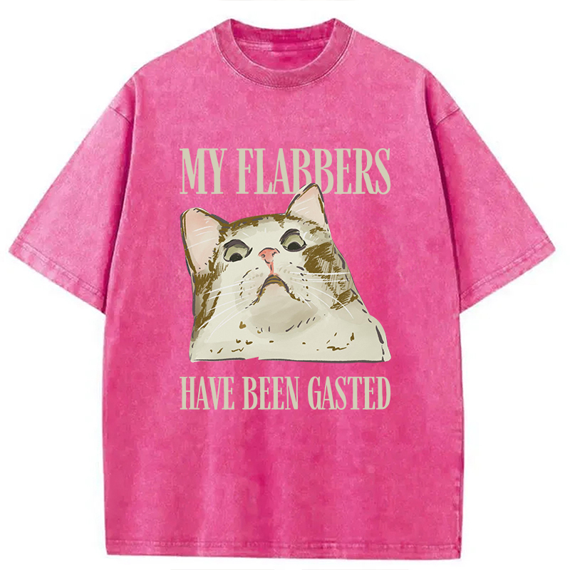 Modecanvas My Flabbers Have Been Gasted Cat Meme DTG Printing Washed T-Shirt