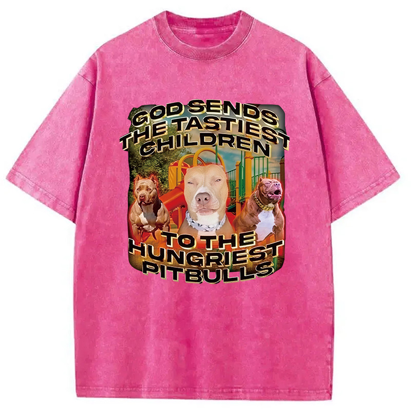 Modecanvas God Sends The Tastiest Children To The Hungriest Pitbulls DTG Printing Washed T-Shirt