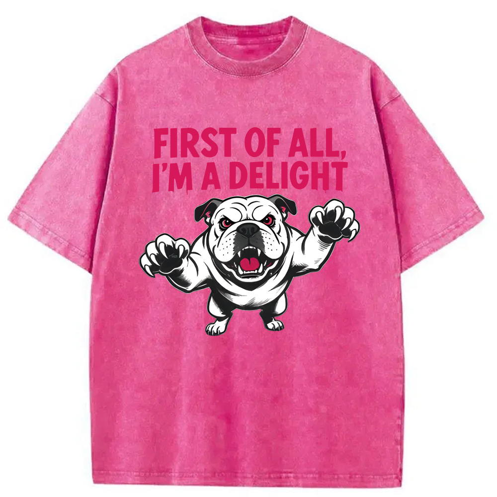 Modecanvas Fierce Bulldog Delight DTG Printing Washed T-Shirt