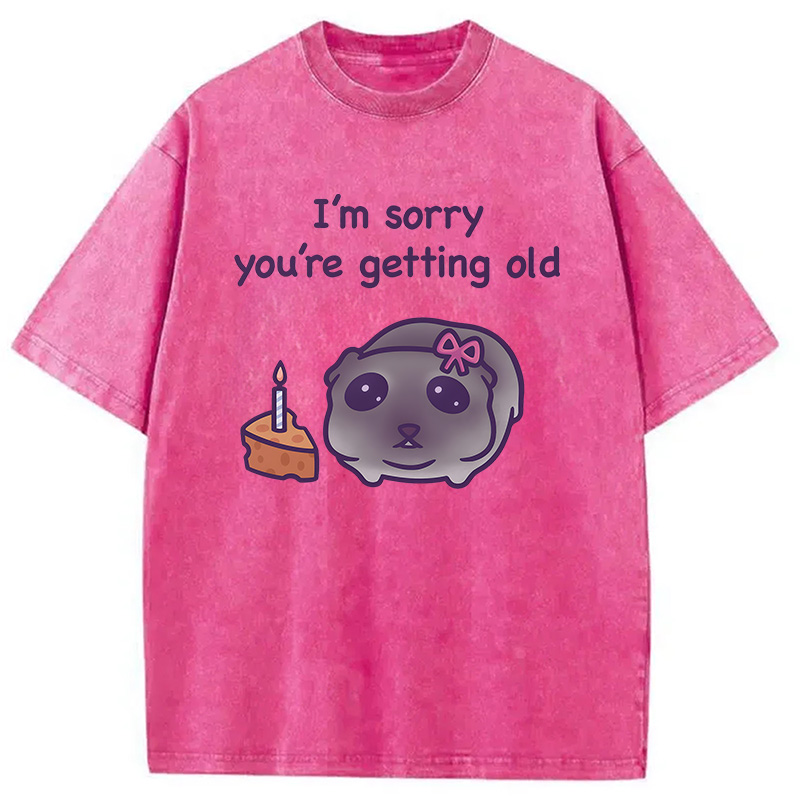 Modecanvas Sad Hamster Birthday Meme DTG Printing Washed T-Shirt