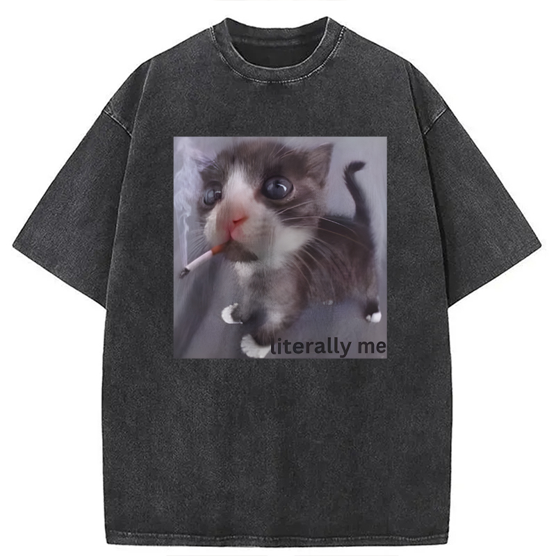 Modecanvas Literally Me Smoking Cat DTG Printing Washed T-Shirt