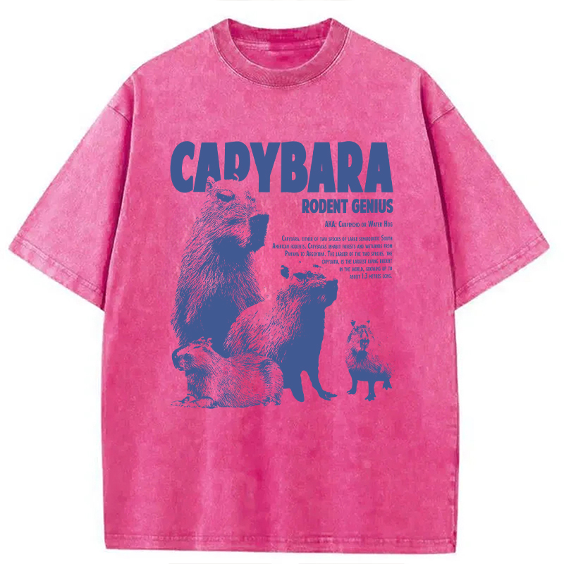 Modecanvas Capybara Vintage DTG Printing Washed T-Shirt