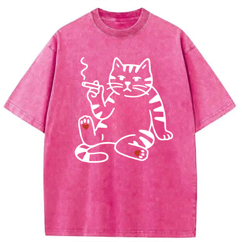 Modecanvas Funny Smoking Cat Meme DTG Printing Washed T-Shirt