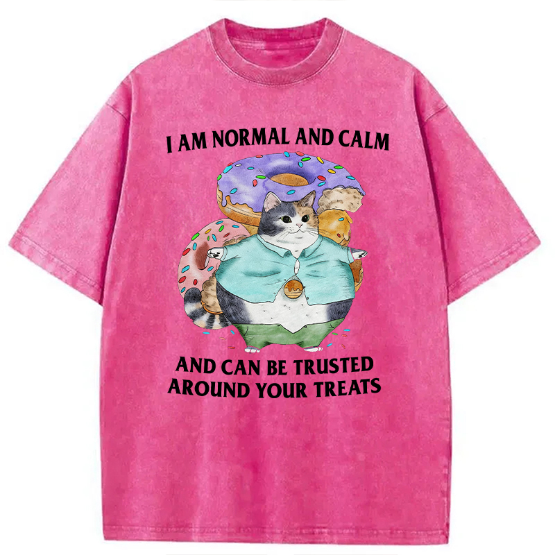 Modecanvas I Can Be Trusted Around Your Treats DTG Printing Washed T-Shirt