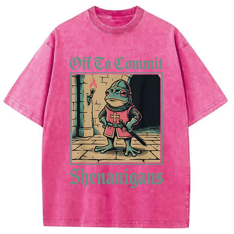 Modecanvas Off To Commit Shenanigans DTG Printing Washed T-Shirt