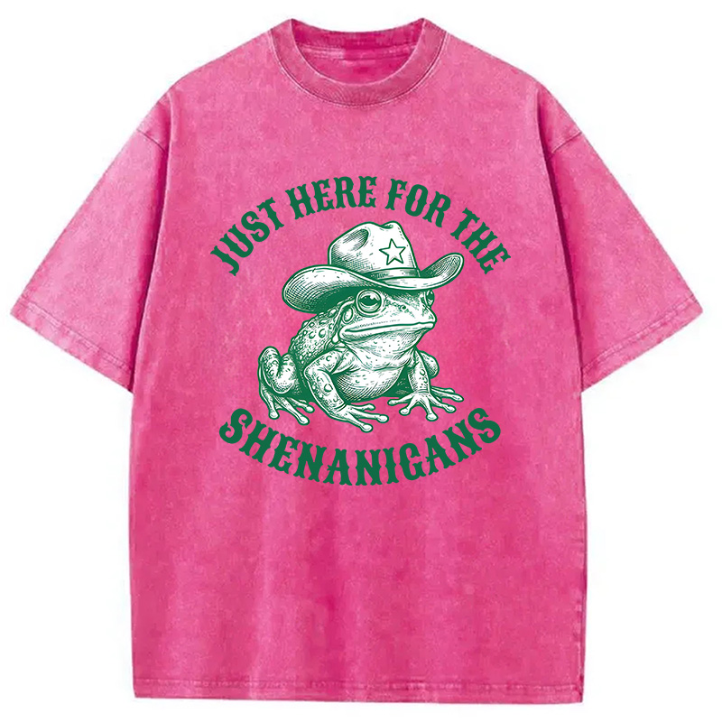 Modecanvas Just Here for the Shenanigans Frog DTG Printing Washed T-Shirt