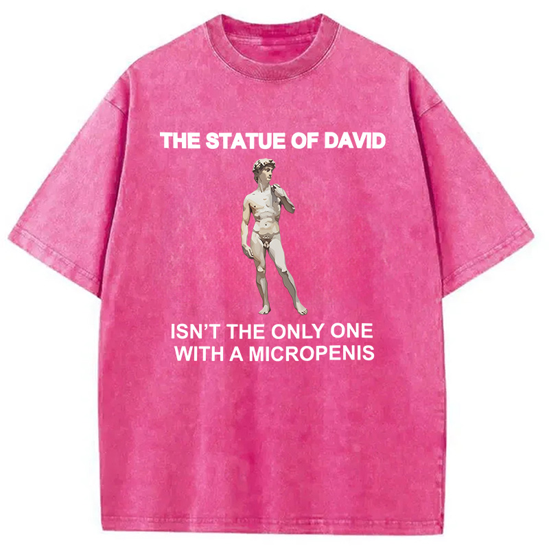 Modecanvas The Statue Of David Meme DTG Printing Washed T-Shirt