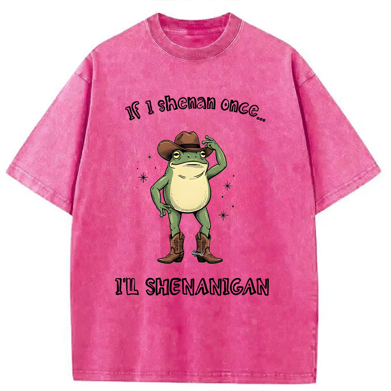 Modecanvas I ll Shenanigan Frog DTG Printing Washed T-Shirt