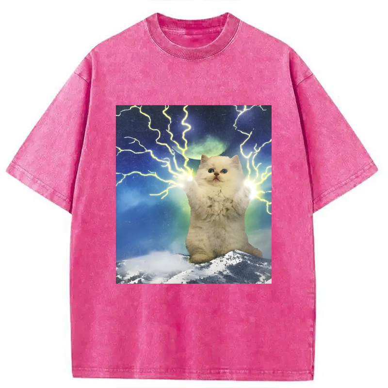 Modecanvas Lightning Cat DTG Printing Washed T-Shirt
