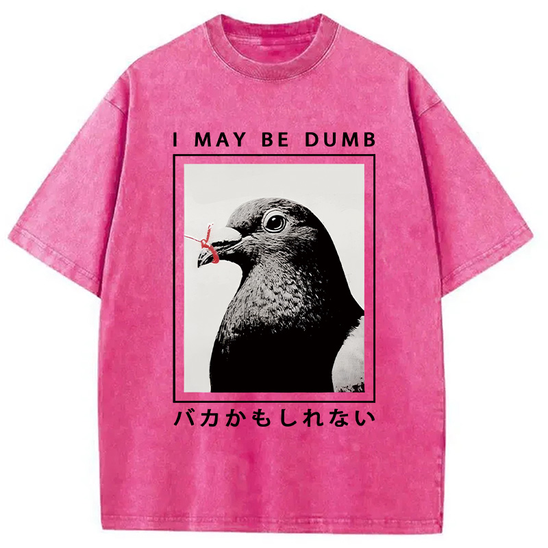 Modecanvas I May Be Dumb Funny Washed T-Shirt-modecanvas