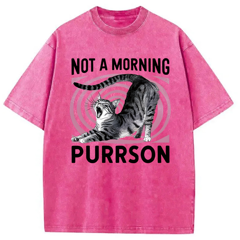 Modecanvas Not A Morning Purrrson Cat DTG Printing Washed T-Shirt