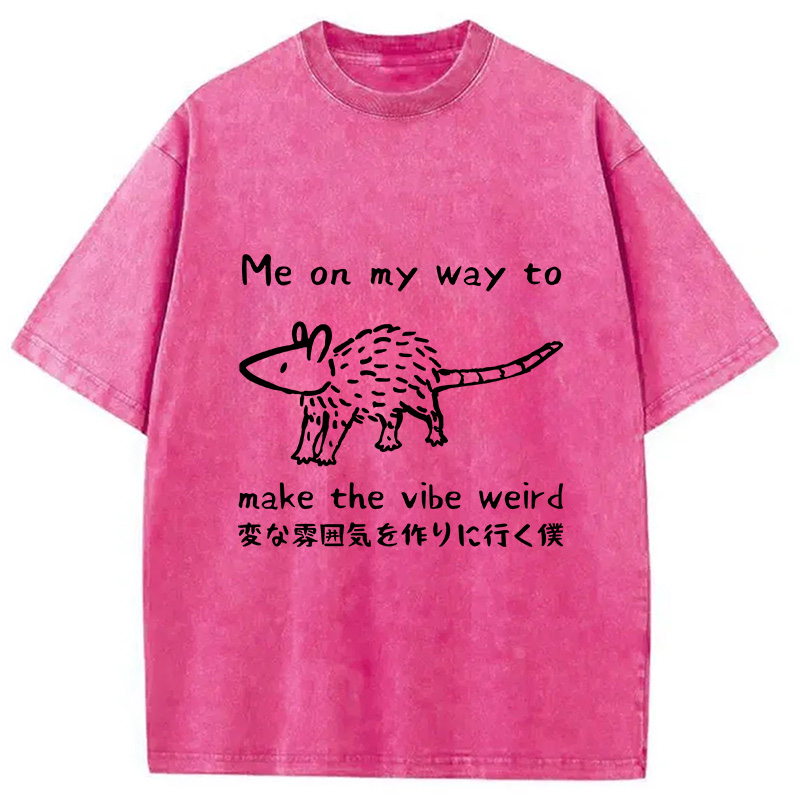Modecanvas Making The Vibe Weird Washed T-Shirt