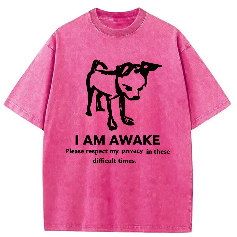 Modecanvas Silly Dog Privacy Meme DTG Printing Washed T-Shirt
