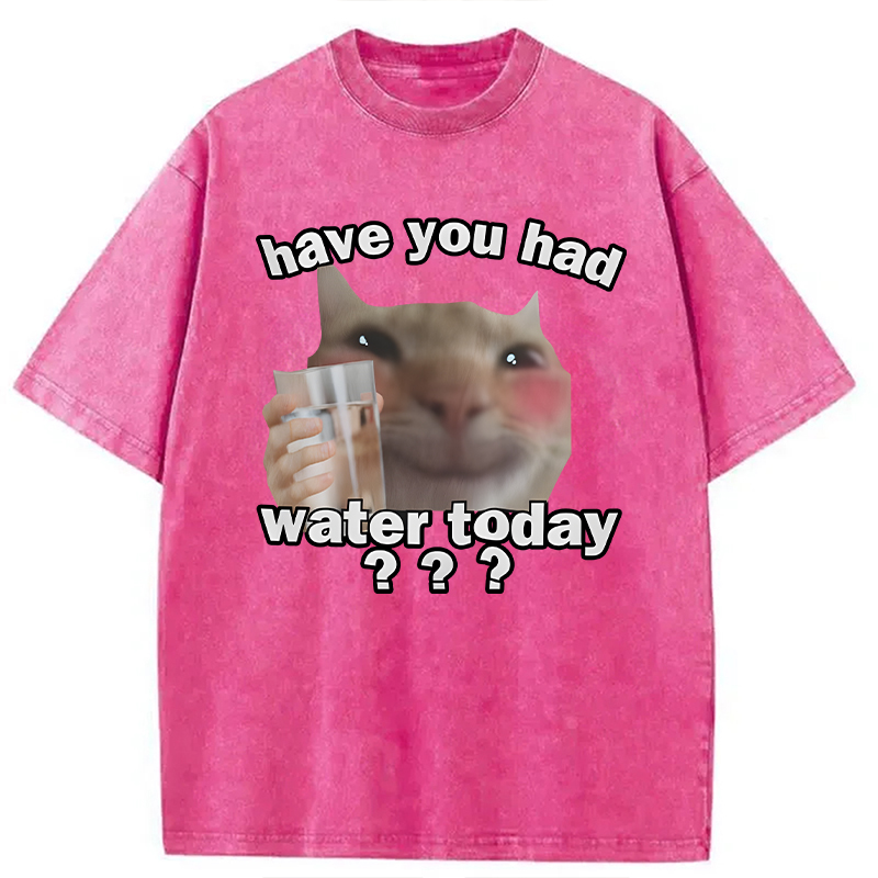 Modecanvas Remind To Drink Water DTG Printing Washed T-Shirt