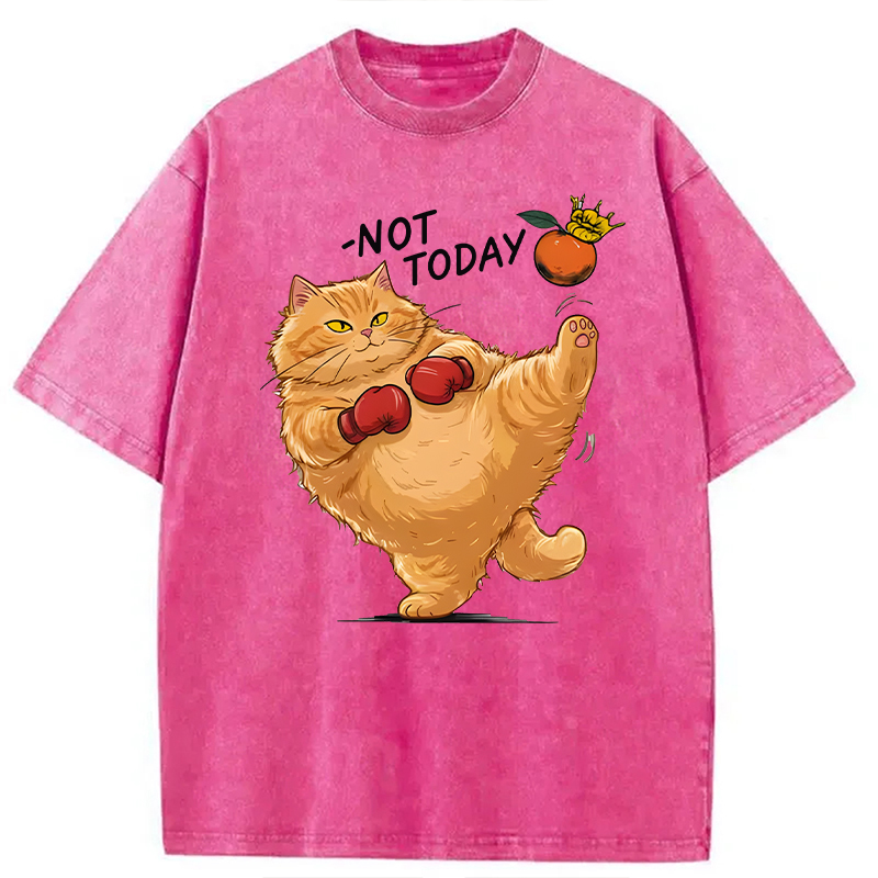 Modecanvas Boxing Cat DTG Printing Washed T-Shirt