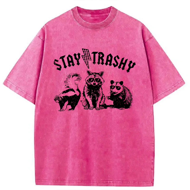 Modecanvas Stay Trashy Funny Raccoon DTG Printing Washed T-Shirt